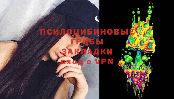 трава Армянск
