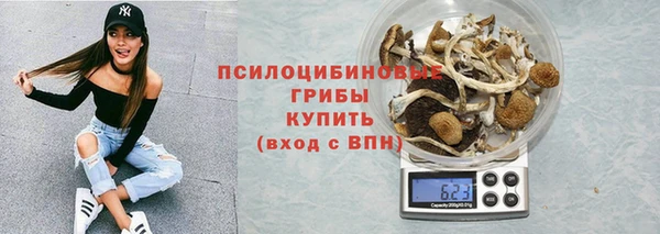 трава Армянск